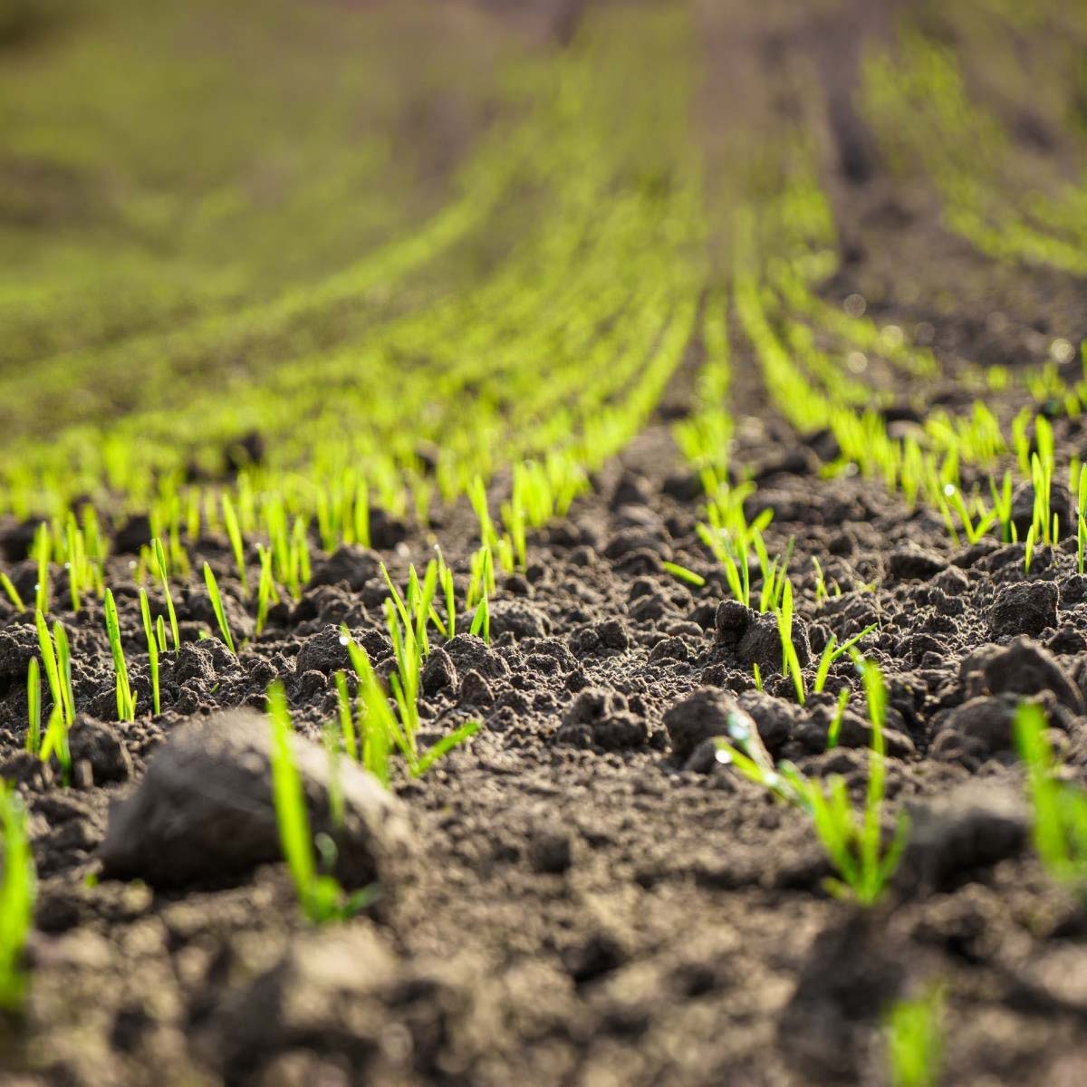 AGROFIT supply and logistics visual