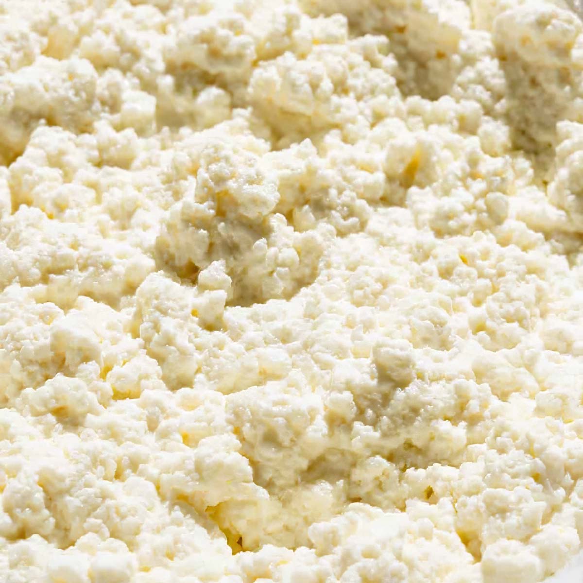 Ricotta Fresh Pack product placeholder