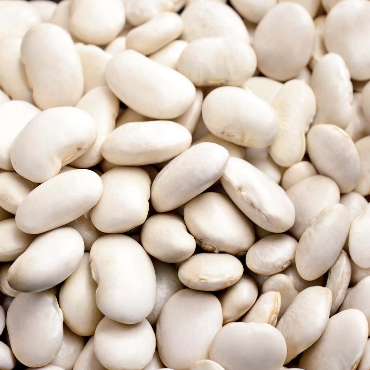 Dry White Beans product placeholder