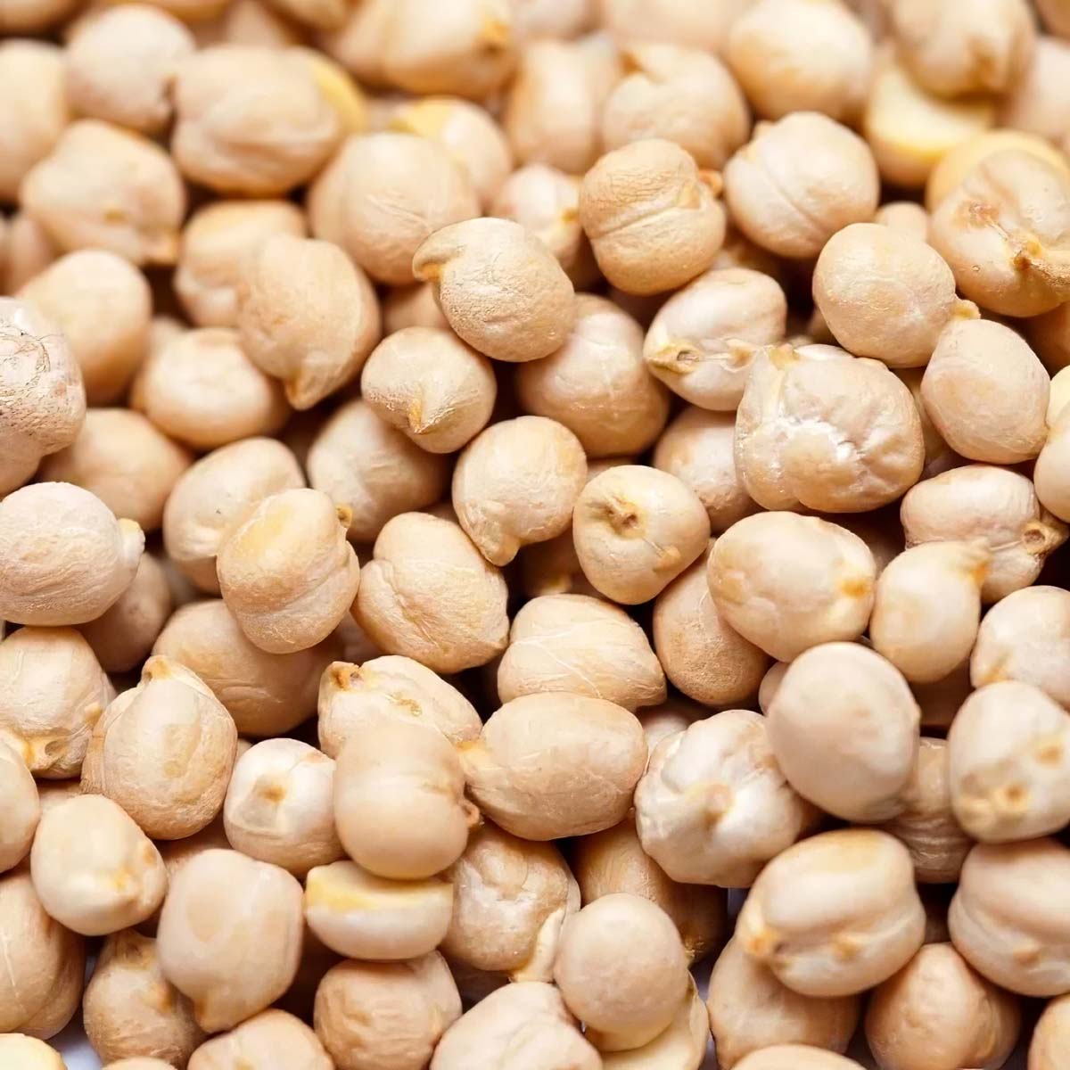 Chickpeas Caliber 8 mm plus product placeholder