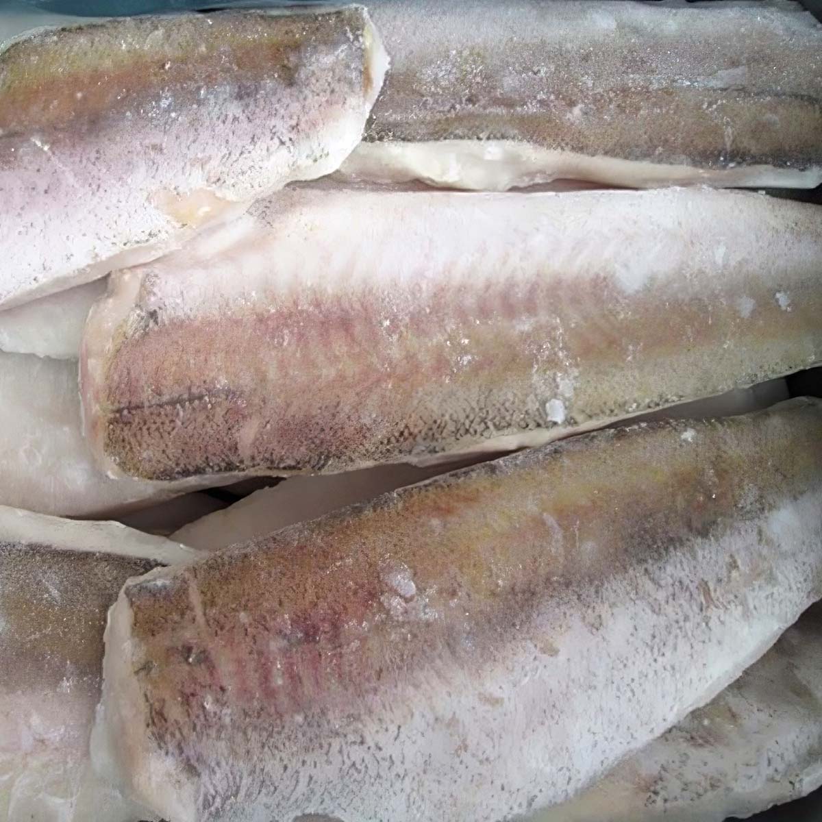 Frozen Hake Fillets product placeholder