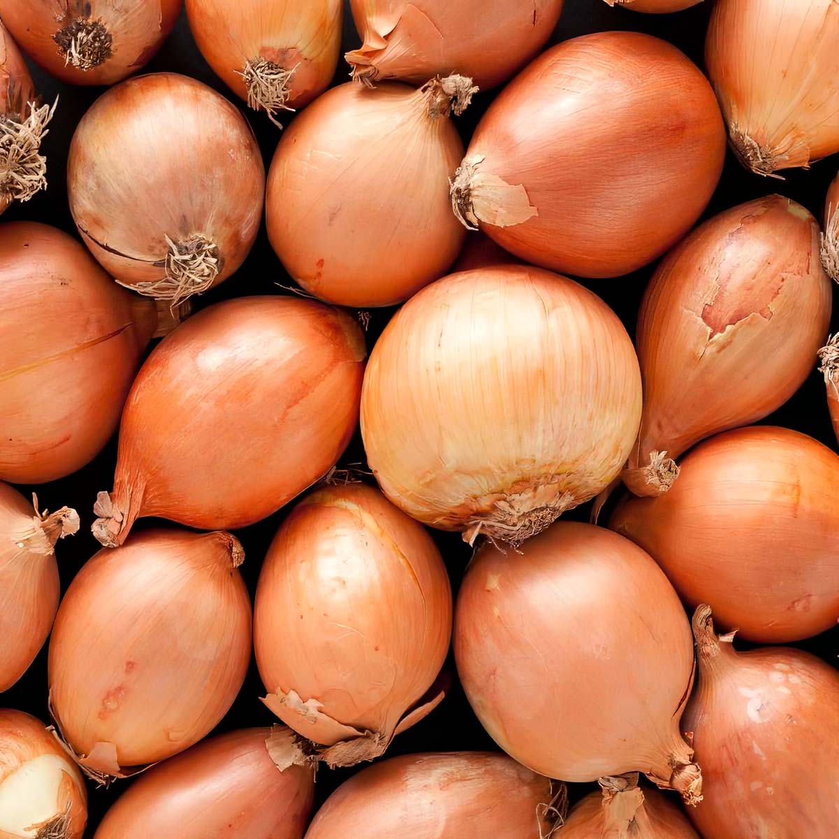 Yellow Onion product placeholder