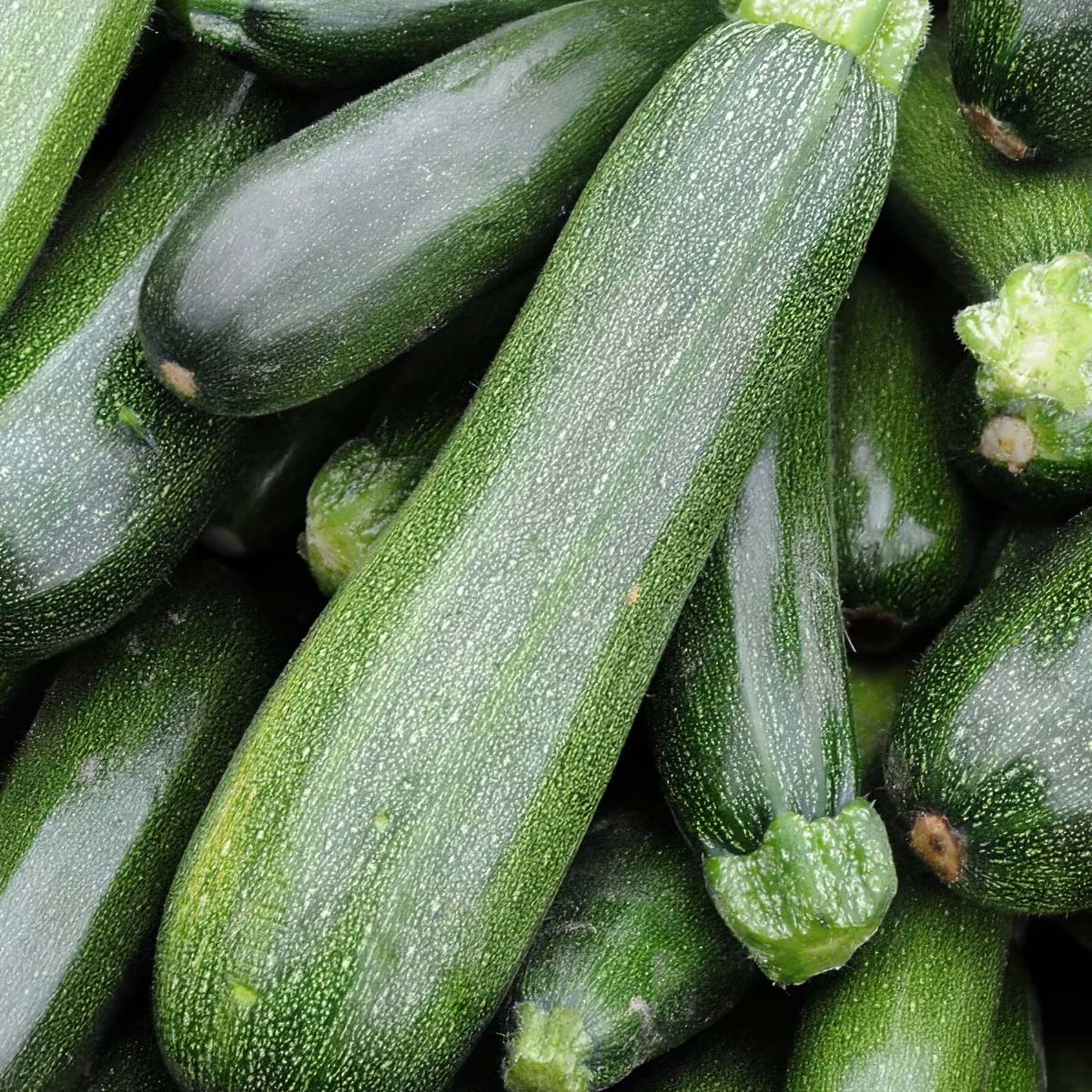 Fresh Zucchini product placeholder