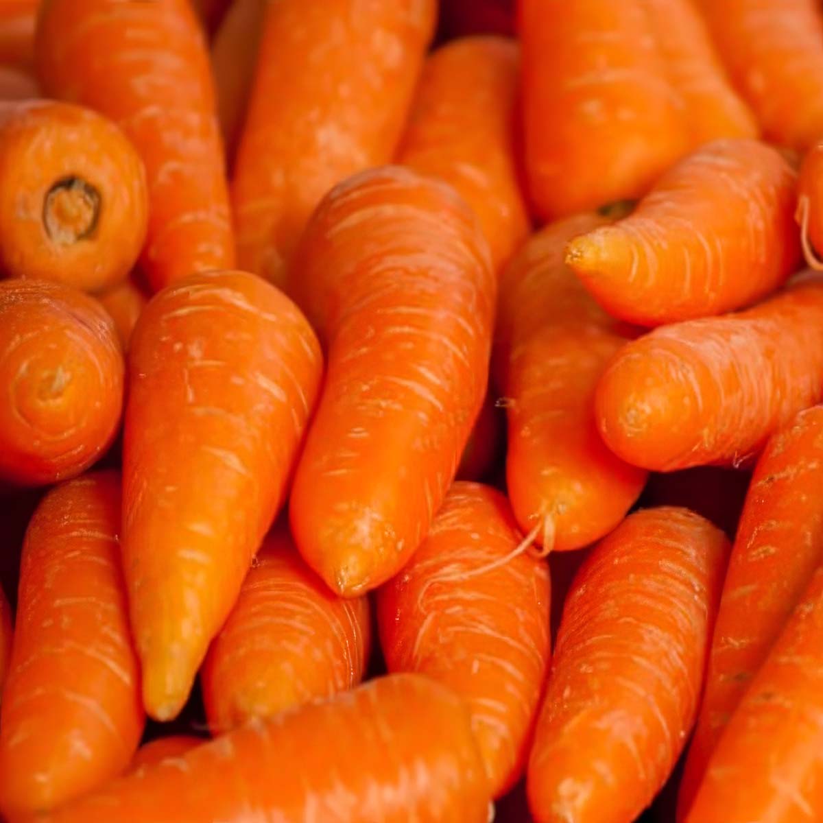 Carrot Premium Grade product placeholder