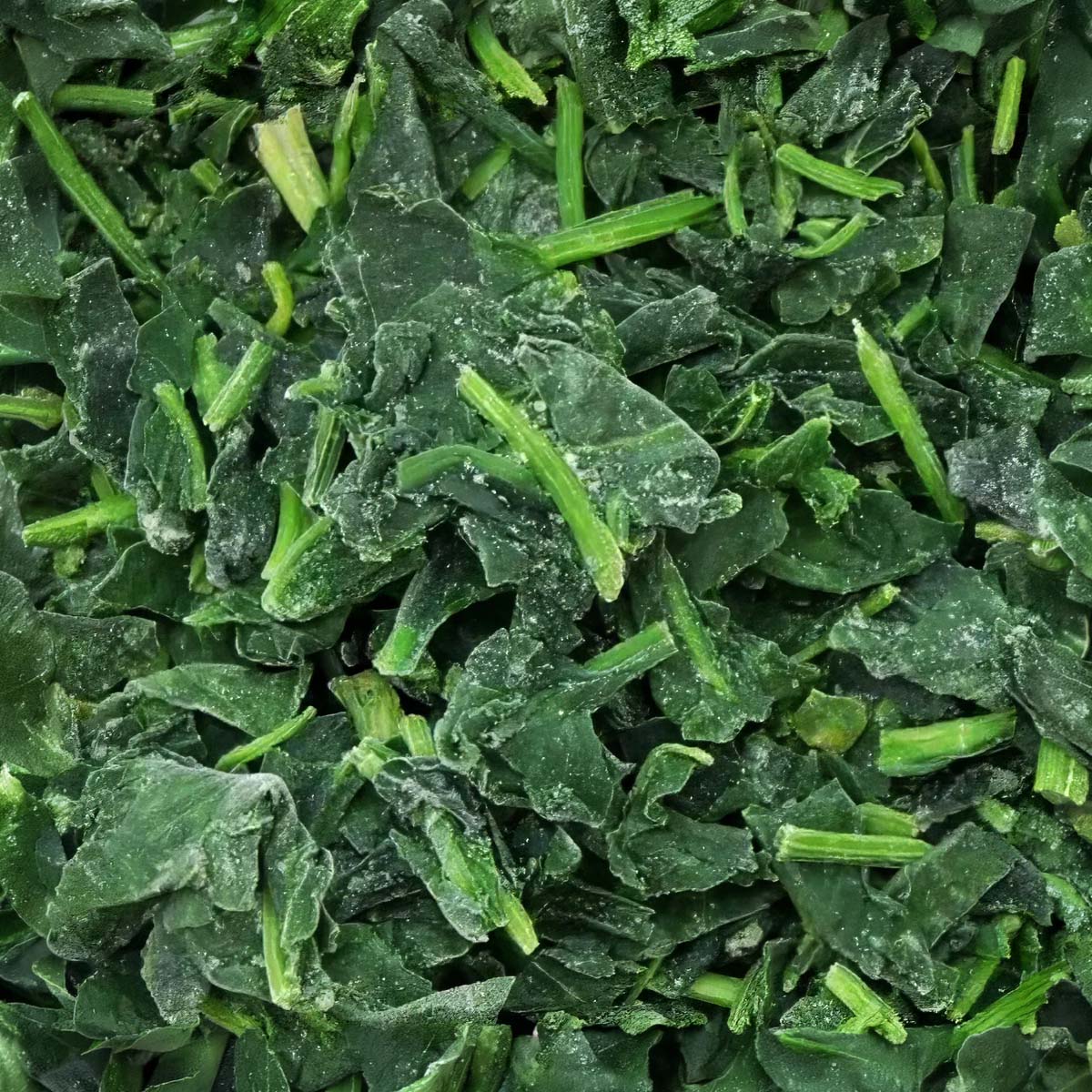 IQF Spinach Leaves product placeholder