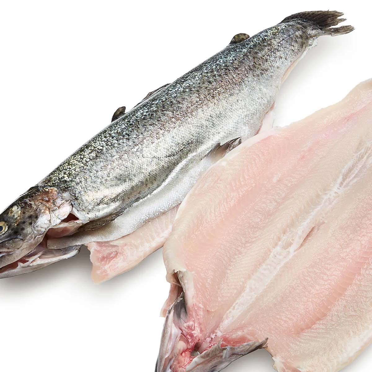 Fresh Rainbow Trout product placeholder